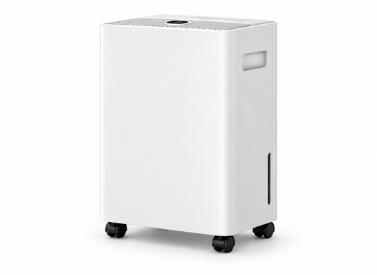 Déshumidificateur 10 L par 24 h à drainage continu, réservoir de 1,5 L — fond blanc